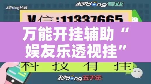 万能开挂辅助“娱友乐透视挂”开挂辅助脚本+详细开挂安装教程