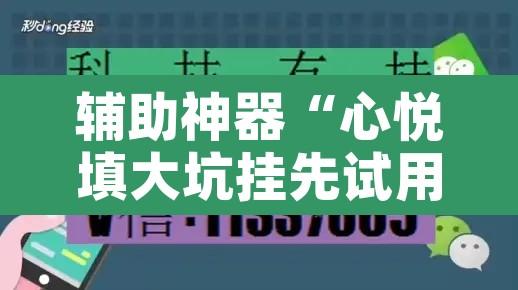 辅助神器“心悦填大坑挂先试用后付款”开挂辅助脚本+详细开挂安装教程