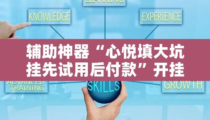 辅助神器“心悦填大坑挂先试用后付款”开挂辅助脚本+详细开挂安装教程