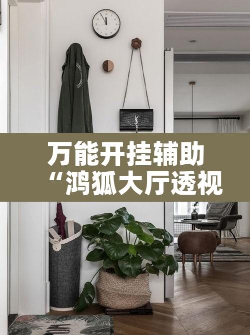 万能开挂辅助“鸿狐大厅透视神器下载”其实确实有挂