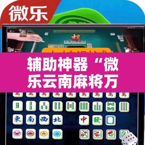 辅助神器“微乐云南麻将万能开挂器”其实确实有挂