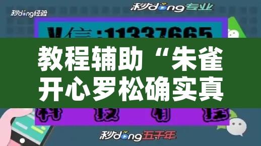 教程辅助“朱雀开心罗松确实真的有挂”开挂辅助脚本+详细开挂安装教程