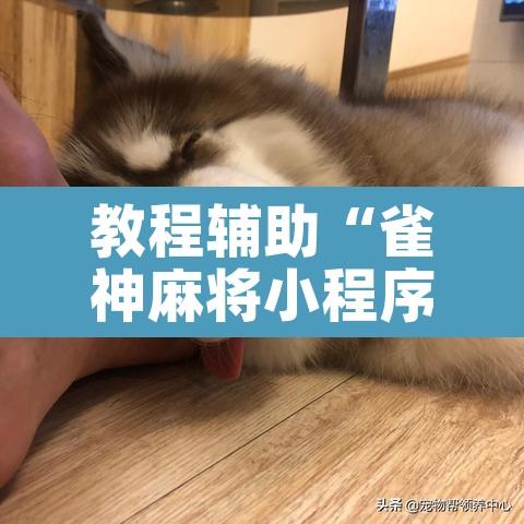 教程辅助“雀神麻将小程序有挂吗”其实确实有挂