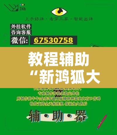 教程辅助“新鸿狐大厅开挂方法”附辅助神器开挂脚本详细步骤