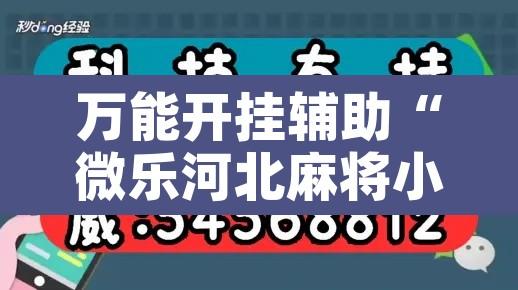 万能开挂辅助“微乐河北麻将小程序万能挂免费版”开挂辅助脚本+详细开挂安装教程