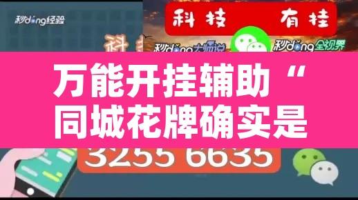 万能开挂辅助“同城花牌确实是有挂”附辅助神器开挂脚本详细步骤