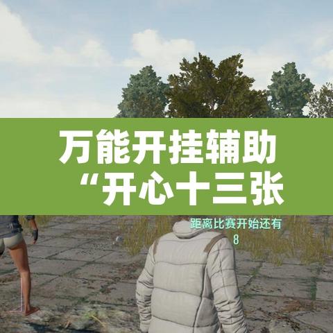 万能开挂辅助“开心十三张有没有挂”附辅助神器开挂脚本详细步骤
