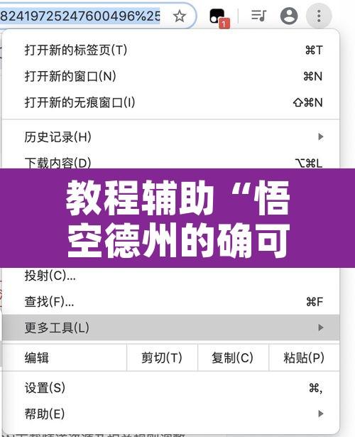 教程辅助“悟空德州的确可以开挂”开挂辅助脚本+详细开挂安装教程