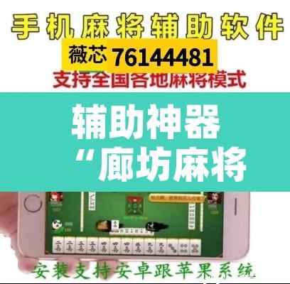 辅助神器“廊坊麻将竟有透视挂吗”开挂辅助脚本+详细开挂安装教程