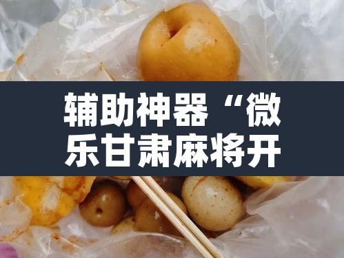 辅助神器“微乐甘肃麻将开挂神器下载”其实确实有挂