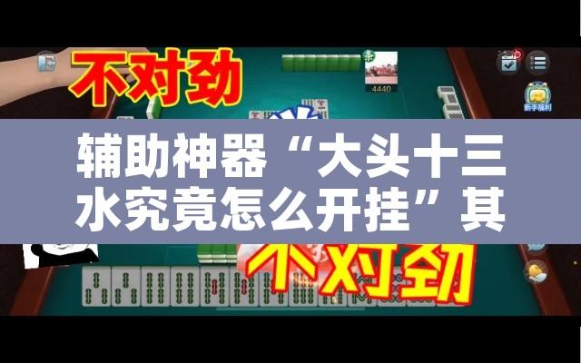 辅助神器“大头十三水究竟怎么开挂”其实确实有挂