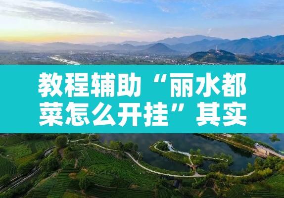 教程辅助“丽水都菜怎么开挂”其实确实有挂