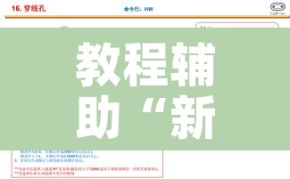 教程辅助“新青鸟大厅拼三张怎么开挂”其实确实有挂