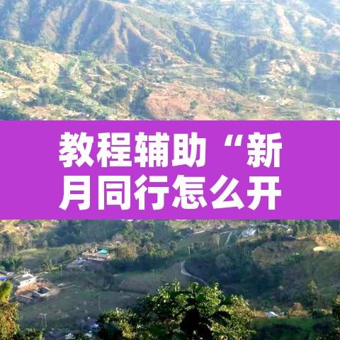 教程辅助“新月同行怎么开挂”开挂辅助脚本+详细开挂安装教程