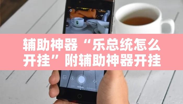 辅助神器“乐总统怎么开挂”附辅助神器开挂脚本详细步骤