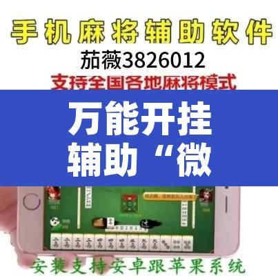 万能开挂辅助“微乐广西麻将开挂神器”开挂辅助脚本+详细开挂安装教程