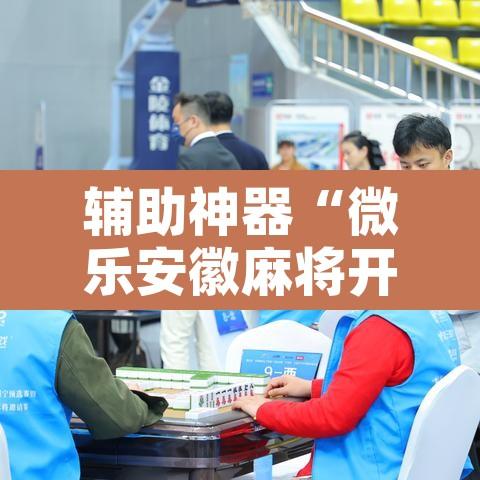 辅助神器“微乐安徽麻将开挂教程”开挂辅助脚本+详细开挂安装教程