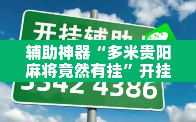 辅助神器“多米贵阳麻将竟然有挂	”开挂辅助脚本+详细开挂安装教程