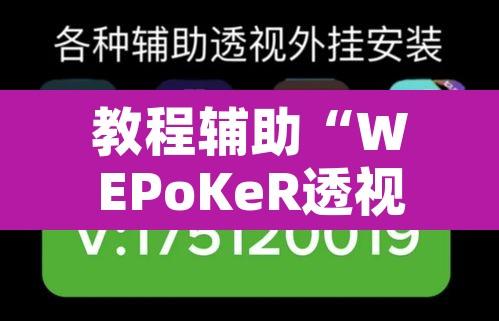 教程辅助“WEPoKeR透视辅助器”附辅助神器开挂脚本详细步骤
