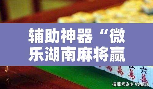 辅助神器“微乐湖南麻将赢牌规律是啥”其实确实有挂