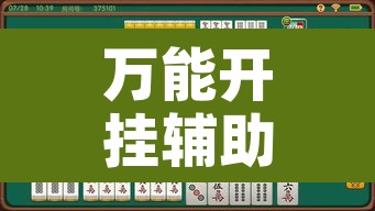 万能开挂辅助“天天爱泰州麻将怎么开挂”开挂辅助脚本+详细开挂安装教程