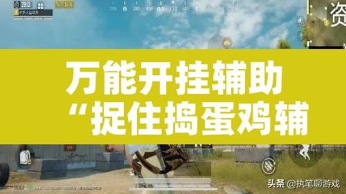 万能开挂辅助“捉住捣蛋鸡辅助开挂	”其实确实有挂