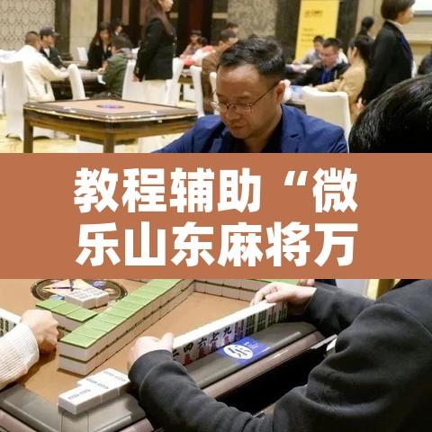 教程辅助“微乐山东麻将万能开挂器	”开挂辅助脚本+详细开挂安装教程