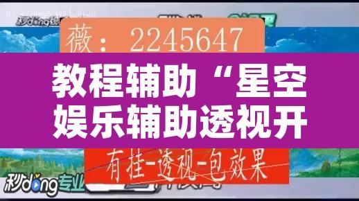 教程辅助“星空娱乐辅助透视开挂”其实确实有挂