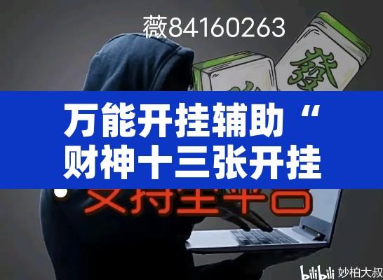 万能开挂辅助“财神十三张开挂怎么用	”开挂辅助脚本+详细开挂安装教程