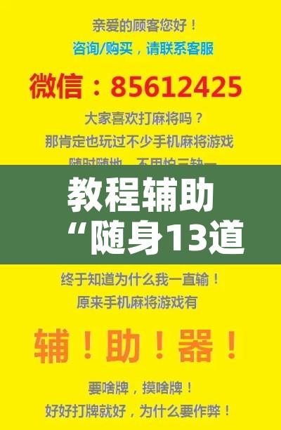 教程辅助“随身13道作弊使用教程	”开挂辅助脚本+详细开挂安装教程