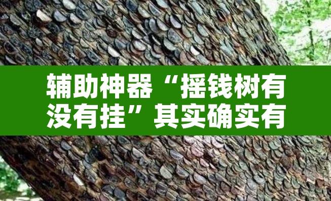 辅助神器“摇钱树有没有挂”其实确实有挂