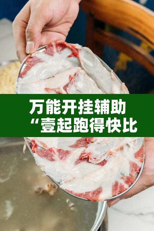 万能开挂辅助“壹起跑得快比鸡开挂辅助”附辅助神器开挂脚本详细步骤