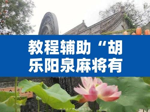 教程辅助“胡乐阳泉麻将有挂吗”开挂辅助脚本+详细开挂安装教程