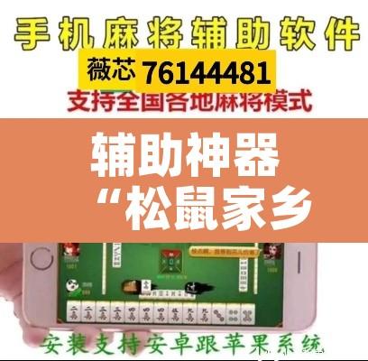辅助神器“松鼠家乡棋牌开挂透视”其实确实有挂