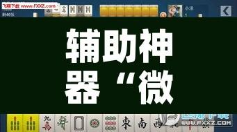 辅助神器“微乐安徽麻将有挂吗”开挂辅助脚本+详细开挂安装教程