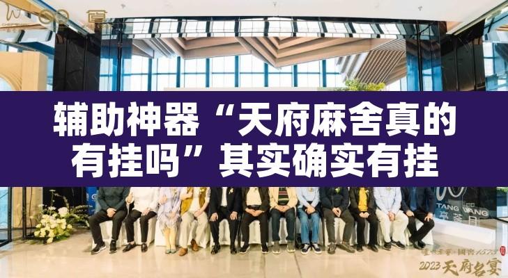 辅助神器“天府麻舍真的有挂吗”其实确实有挂