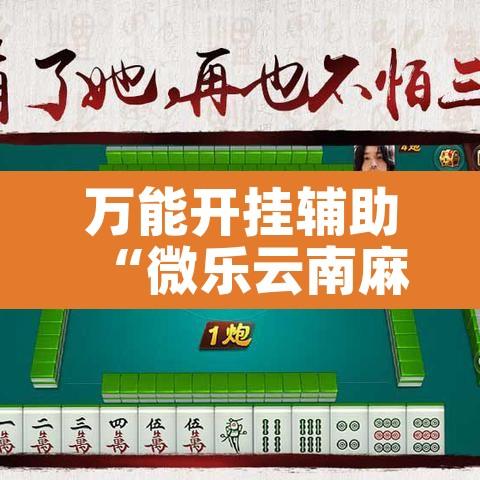万能开挂辅助“微乐云南麻将有挂吗”其实确实有挂