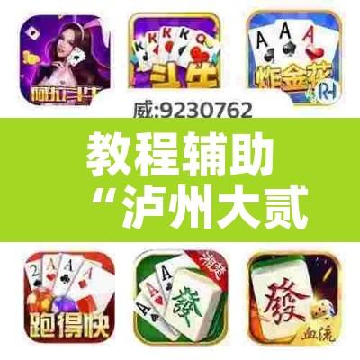 教程辅助“泸州大贰免费开挂器”其实确实有挂