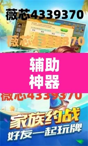 辅助神器“先锋跑得快怎么开挂”其实确实有挂