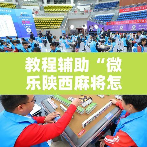 教程辅助“微乐陕西麻将怎么提高胜率”其实确实有挂