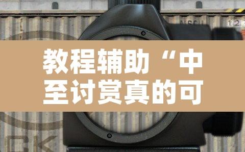教程辅助“中至讨赏真的可以开挂”附辅助神器开挂脚本详细步骤