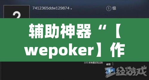 辅助神器“【wepoker】作弊透视”其实确实有挂