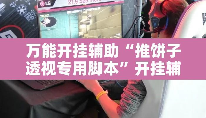 万能开挂辅助“推饼子透视专用脚本	”开挂辅助脚本+详细开挂安装教程