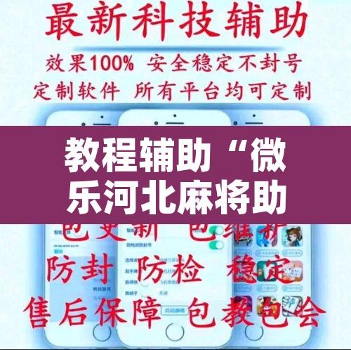 教程辅助“微乐河北麻将助赢神器购买”附辅助神器开挂脚本详细步骤