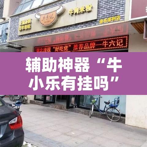 辅助神器“牛小乐有挂吗”附辅助神器开挂脚本详细步骤