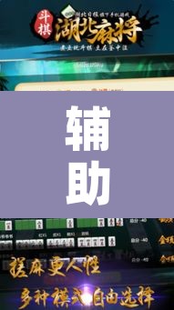辅助神器“上楚湖北麻将确实真的有挂”开挂辅助脚本+详细开挂安装教程