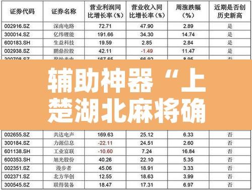 辅助神器“上楚湖北麻将确实真的有挂	”开挂辅助脚本+详细开挂安装教程