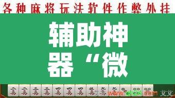 辅助神器“微乐山西麻将万能开挂器通用版”其实确实有挂