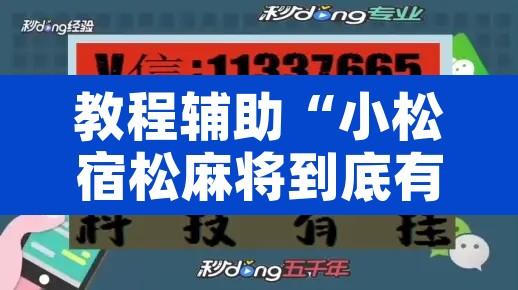 教程辅助“小松宿松麻将到底有挂吗”开挂辅助脚本+详细开挂安装教程