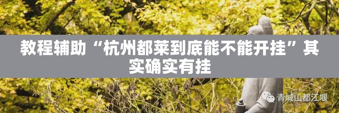 教程辅助“杭州都莱到底能不能开挂”其实确实有挂